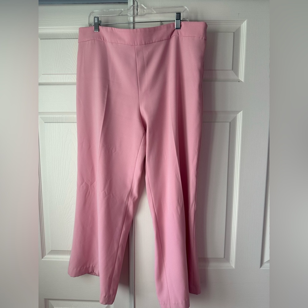 Zara Pink Women's Pants